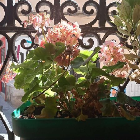 מדריד Apartamento Lavapies Al Lado Del Rastro מראה חיצוני תמונה