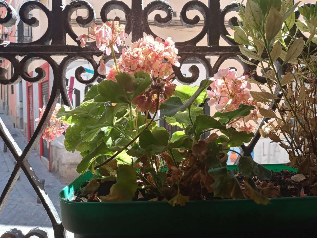 מדריד Apartamento Lavapies Al Lado Del Rastro מראה חיצוני תמונה