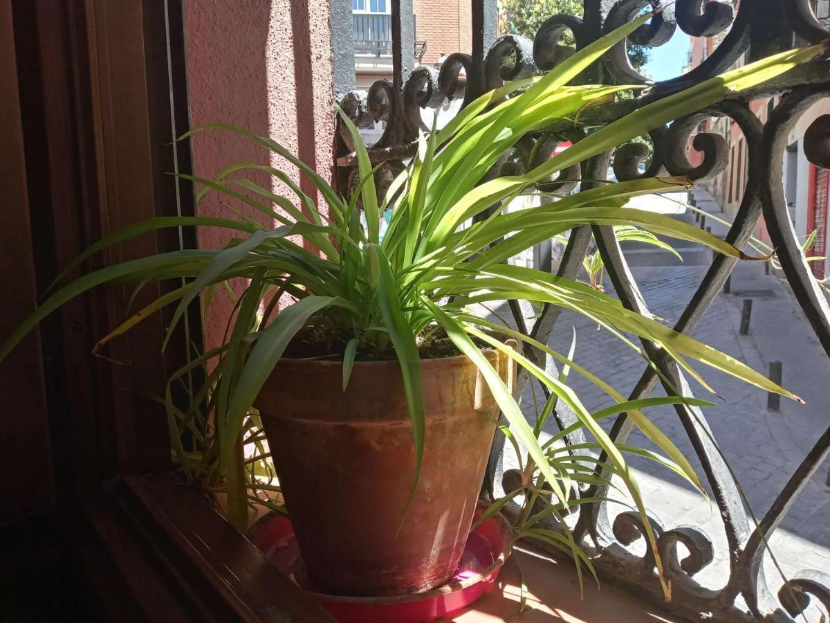 מדריד Apartamento Lavapies Al Lado Del Rastro מראה חיצוני תמונה